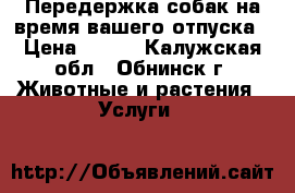Передержка собак,на время вашего отпуска › Цена ­ 500 - Калужская обл., Обнинск г. Животные и растения » Услуги   